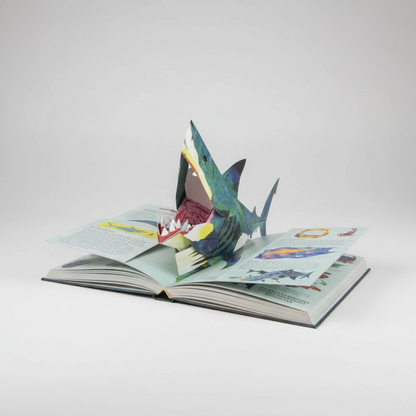 3D Pop-Up Dinosaur Book — Interactive Prehistoric Adventure 10
