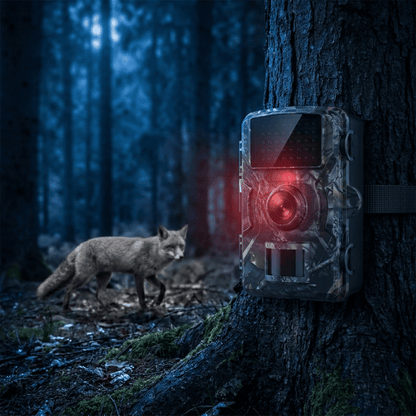 WildTrack Trail Camera Night Vision – Motion Sensor