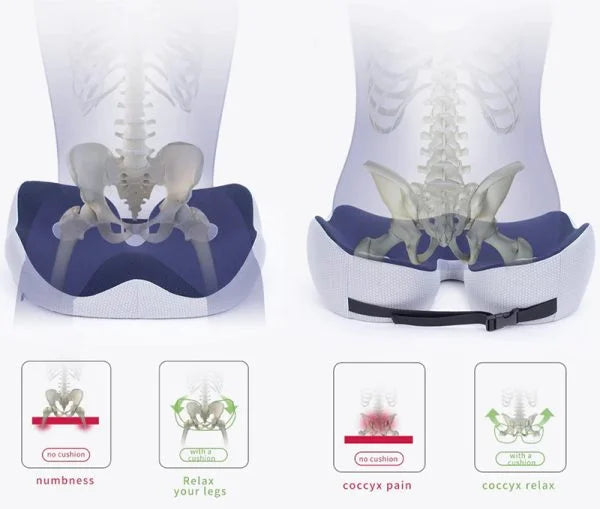 Memory Foam Seat Cushion — Coccyx & Sit Bone Pain Relief 5