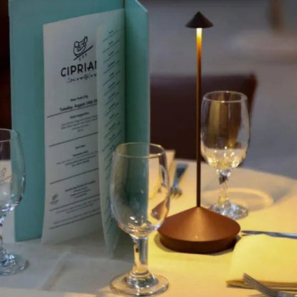 Modern Slim Wireless LED Table Lamp — Dimmable USB Rechargeable 19