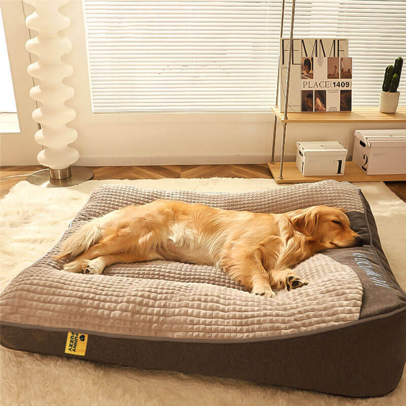 Orthopaedic Memory Foam Dog Bed with Raised Headrest 2