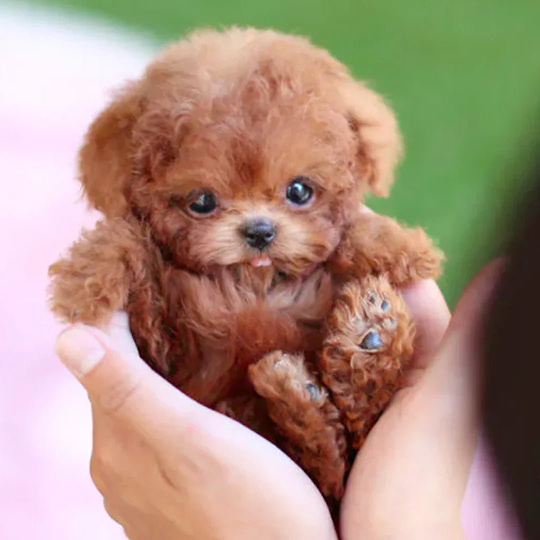 Realistic Interactive Robot Puppy — Lifelike Toy Dog 1