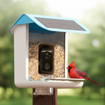 Smart Bird Feeder Camera — Solar WiFi AI Outdoor 1080p HD 3