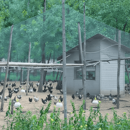 UV-Resistant Bird & Deer Netting for Orchards and Gardens 3